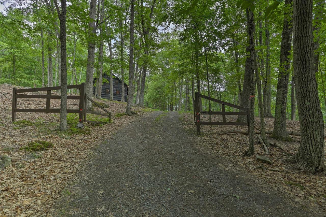 Vivid 2-acre Hilltop Gem Fire Pit And River Access! Holiday home Lackawaxen